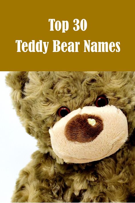 For National #HugABearDay we thought we thought it would be Fun to list our Favourite Top 30 Teddy Bear Names here ‘#TeddyBear #TeddyNames #TopNames #Bear Names For Teddy Bears, National Teddy Bear Day, Best Teddy Bear, Teddy Bear Day, Big Teddy Bear, Bear Names, Teddy Bear Girl, Stuffed Bear, Cute Names