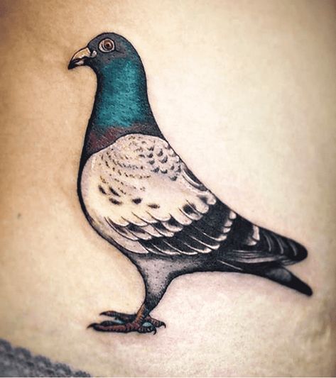 Pigeon Tattoo Design Images (Pigeon Ink Design Ideas) Pegion Bird Tattoo, Pigeon Tattoo Design, Tattoo Pigeon, Nice Tattoo Ideas, Pigeon Tattoo, Mens Tattoos, Angel Falls, Cyrus The Great, Pigeon Bird