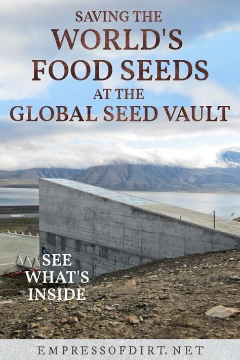 Propagation Tips, Seed Vault, Planting Calendar, Agriculture Education, Food Security, Propagating Plants, Countries Around The World, Come And See, Vaulting