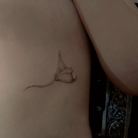 Sing Ray Tattoo, Sea Ray Tattoo, Ray Fish Tattoo, Manta Ray Tattoo Women, Manta Ray Tattoo Meaning, Mantra Ray Tattoo, Bat Ray Tattoo, Fine Line Manta Ray Tattoo, Stingray Tattoo Meaning