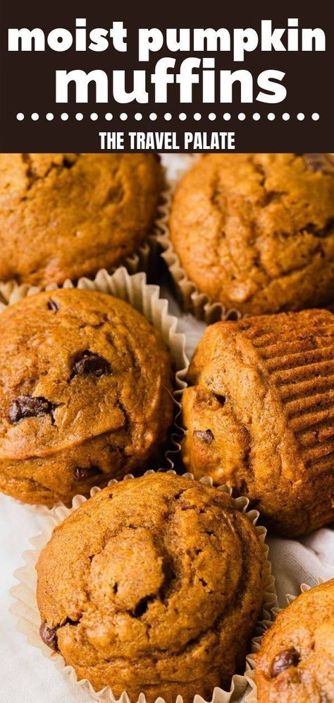 This recipe from The Travel Palate makes the best pumpkin chocolate chip muffins! They are loaded with pumpkin flavor and studded with yummy chocolate chips! Great snack to have on hand or bake a batch for a quick breakfast. These are homemade, with an easy recipe that whips up quick. Drizzle on some maple icing for an extra punch of fall flavor! Choclate Chip Muffins, Pumpkin Muffins With Chocolate Chips, Pumpkin Chocolate Chip Muffin Recipe, Moist Pumpkin Muffins, Chocolate Chip Muffins Easy, Muffins With Chocolate Chips, Chocolate Pumpkin Muffins, Maple Icing, Muffins With Chocolate