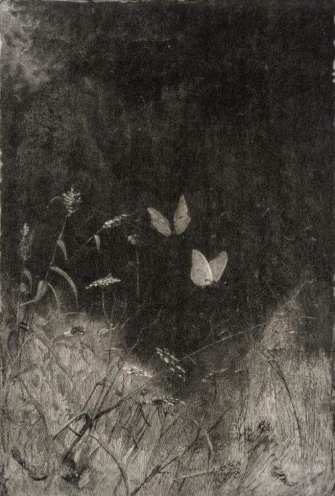 William Baxter Closson ~ Butterflies, c.1887 (wood engraving) Foto Muro Collage, Arte Indie, Wood Engraving, Drawing Tutorials, Painting Illustration, Dark Aesthetic, Dark Art, Pretty Pictures, Aesthetic Art