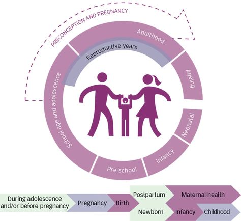 Preconception care: advancing from ‘important to do and can be done’ to ‘is being done and is making a difference’ | Reproductive Health | Full Text Reproductive Health Notes, Reproductive Health Poster, Promotion Of Reproductive Health Poster, Preconception Care, Reproductive Health Illustration, Financial Challenge, Reproductive Cycle, The Reproductive System, Adolescent Health