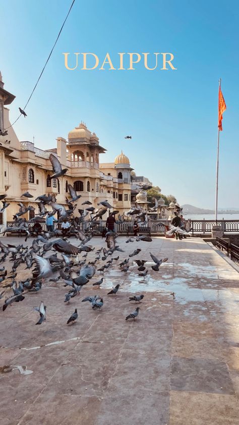 Udaipur Snapchat Story, Village Vibes, City Palace Udaipur, Travel Infographic, Aesthetic Captions, Instagram Captions For Friends, Feminine Health, Solo Trip, Munnar