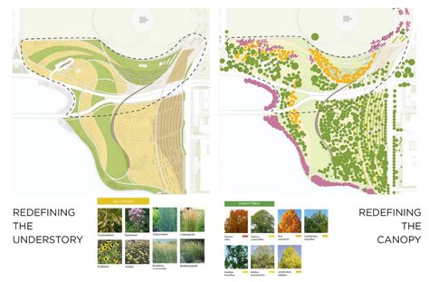 National Mall Winning Design Proposal for Sylvan Theater / Weiss/Manfredi + OLIN Landscape Architecture Plants, Landscape Engineer, Landscape Diagram, Urban Concept, Landscape Design Drawings, Landscape Architecture Drawing, Design Proposal, Architecture Sketchbook, Project Presentation