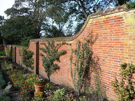 Brick Wall With Fence On Top, Old Brick Wall Garden, Red Brick Garden Wall, Pool Gates, Brick Wall Gardens, Brick Courtyard, Garden Well, Flower Meadows, Planting Garden