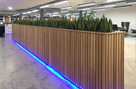 Maintained Partition Plant Displays & Plant Room Dividers • Inleaf Cafe Partition Design, Plant Divider Wall, Partition Plant, Plant Partition, Plant Divider, Cafe Plants, Wall Partition, Wooden Partitions, Screen Plants