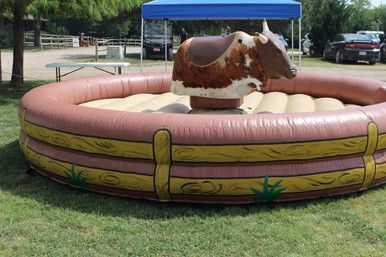 Mechanical Bull Mechanical Bull Rental, Birthday Chair, Carnival Tent, Mechanical Bull, Number Logo, 1st Birthday Themes, Air Blower, Bachelorette Trip, Bull Riding