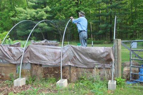 Covered Chicken Run, Chicken Yard, Greenhouse Frame, House Big, Chicken Run, Chicken Runs, A Chicken, Big Sky, Animal House