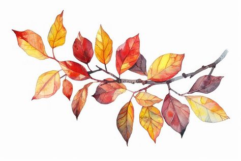 Autumn watercolor leaves branch | free image by rawpixel.com / Fluke Autumn Leaves Art, Autumn Watercolor, Leaves Art, Watercolour Flowers, Fall Watercolor, Watercolor Leaves, Flower Plant, Leaf Art, Free Image