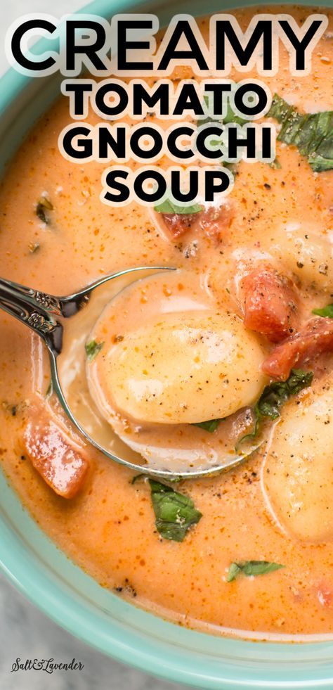 Best Tomato Soup Ever, Creamy Tomato Gnocchi, Tomato Gnocchi Soup, The Best Tomato Soup, Tomato Gnocchi, Easy Tortellini, Gnocchi Recipes Soup, Best Tomato Soup, Chicken Tortellini