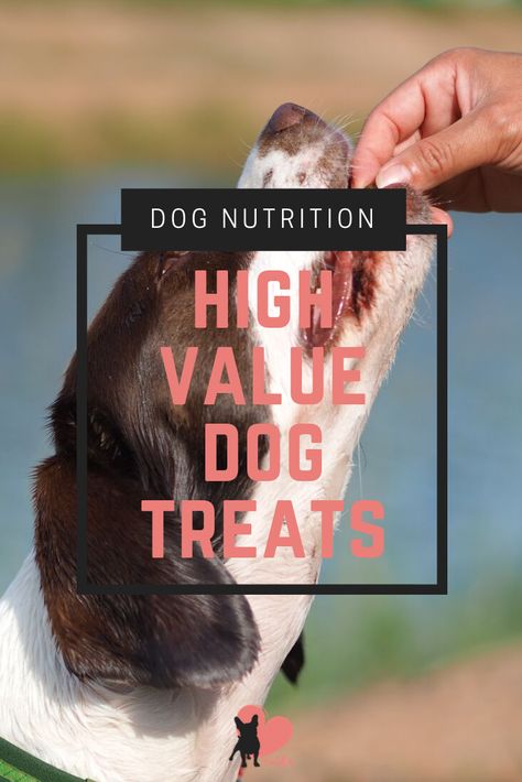 What type of treat should I give to my dog? Here are some ideas for high value dog treats! #dogtreats #dogtreatsrecipes #dogtreatshomemade #dogtreatshomemeaderecipes #dogtrainingtreats High Value Dog Treats, Dog Training Treats Recipe, Dehydrated Chicken, Frozen Dog Treats, Chicken Jerky, Behavior Rewards, To My Dog, Dog Treats Homemade Recipes, Frozen Dog