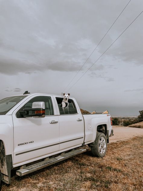 White Truck Aesthetic, Ranch Dogs, Truck Photography, Country Trucks, Cowgirl Stuff, Country Aesthetic, Future Trucks, Western Photography, White Truck