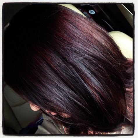 This dark shade with the reddish tint peek a boos! For Fall! Blonde Balayage Highlights, Blond Balayage, Dark Red Hair, Dark Brown Hair Color, Hair Affair, Burgundy Hair, Hair Color And Cut, Red Hair Color, Hair Color Dark