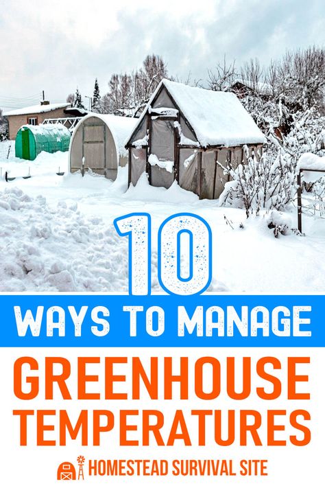 These strategies will help you maintain consistent temperatures in your greenhouse for healthy plant growth. Diy Greenhouse For Cold Climate, Plants For Greenhouse, 4 Season Greenhouse, What Can You Grow In A Greenhouse, Temporary Winter Greenhouse, Greenhouse Shelving Ideas, Unique Greenhouse, Diy Greenhouse Shelves, Temporary Greenhouse For Winter