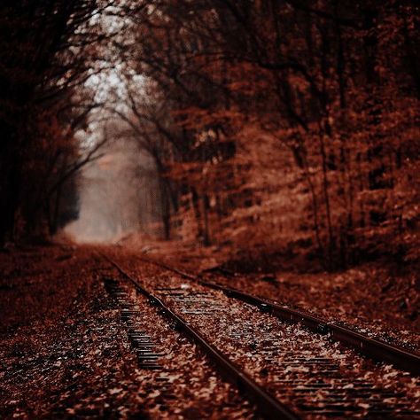 Life Is Strange, Railroad Tracks, Design Projects, Design