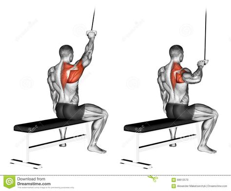 Exercising. One Handed Lat Pulldown - Download From Over 55 Million High Quality Stock Photos, Images, Vectors. Sign up for FREE today. Image: 68612570 Exercise Illustration, Cable Workout, Lat Pulldown, Workout For Flat Stomach, Workout Posters, Muscle Building Workouts, Back And Biceps, Healthy Ideas, Back Exercises