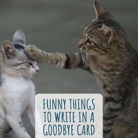 Here are some funny things to write in a goodbye card for co-workers or a friend or loved one moving or going through a breakup. Write them in a card or just send your funny goodbye message by text. Funny Goodbye Messages For Friends, Funny Goodbye Cards For Coworkers, Goodbye Coworker Quotes Funny, Saying Goodbye To Coworkers Funny, Goodbye Notes To Coworkers, Co Worker Leaving Quotes Funny, Funny Goodbye Quotes Coworkers, Funny Farewell Messages Coworker, Goodbye To Coworker Messages