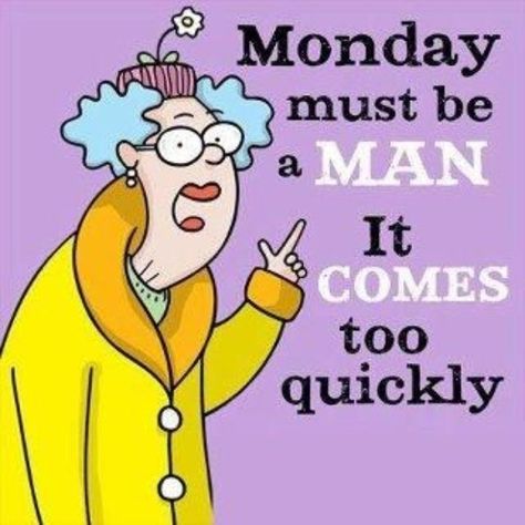 Monday Is Over Funny, Happy Monday Quotes Funny, Happy Monday Humor, Monday Motivation Humor, Monday Is Coming, Funny Monday Quotes, Funny Monday Memes, Monday Funny, Funny Monday