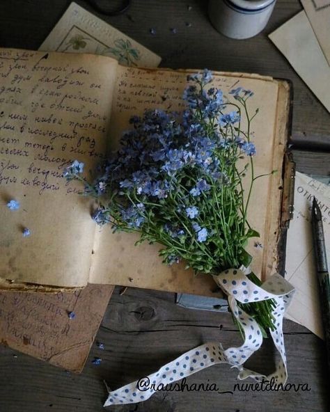 Writing Fantasy, Book Flowers, Nothing But Flowers, Flower Therapy, Forget Me Nots, Flowers Blue, Beautiful Bouquet Of Flowers, Delphinium, Beautiful Bouquet