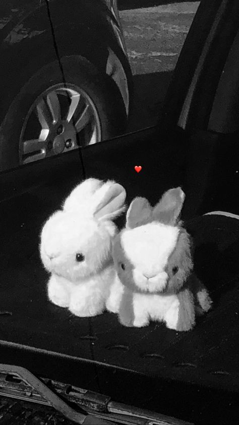 wallpaper, aesthetic, black and white, bunnies, instagram inspo stories Black And White Bestie Aesthetic, Black And White Bunny Wallpaper, Bunny Aesthetic Wallpaper Dark, Black And White Bunny Aesthetic, Black Bunny Wallpaper, Black Bunny Aesthetic, Wallpaper Aesthetic Black And White, Aesthetic Black And White, Bunny Aesthetic