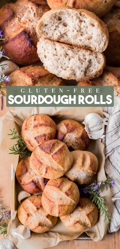 Gluten Free Sourdough Starter, Gluten Free Rolls, Gluten Free Sourdough Bread, Sourdough Rolls, Sourdough Bread Sandwiches, Sourdough Starter Discard Recipe, Gluten Free Buns, Gluten Free Sourdough, Gluten Free Thanksgiving