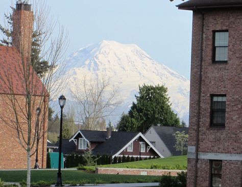 View of Mt. Rainier from the University of Puget Sound campus. University Of Puget Sound, College Visits, Reed College, College Visit, College Search, Mt Rainier, College Experience, Puget Sound, Studio Art