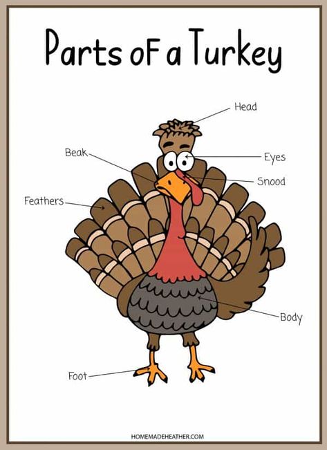 Turkey Theme Preschool, Mothers Day Activity, Turkey Theme, Turkey Activity, Body Preschool, Activity Printables, Thanksgiving Lessons, Thanksgiving Crafts Preschool, Thanksgiving Classroom