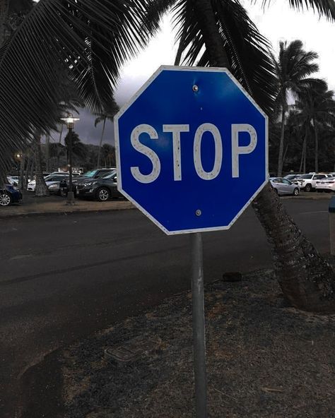 Stop Sign, Interesting Stuff, How Many, On Instagram, Blue, Color, Instagram