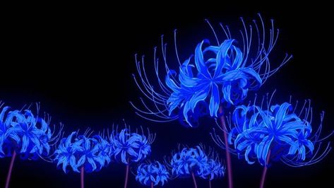 Blue Spider Lily, Spider Lily, Night Sky, Blue Flowers, The Story, Books Wattpad, Lily, Wattpad, Books