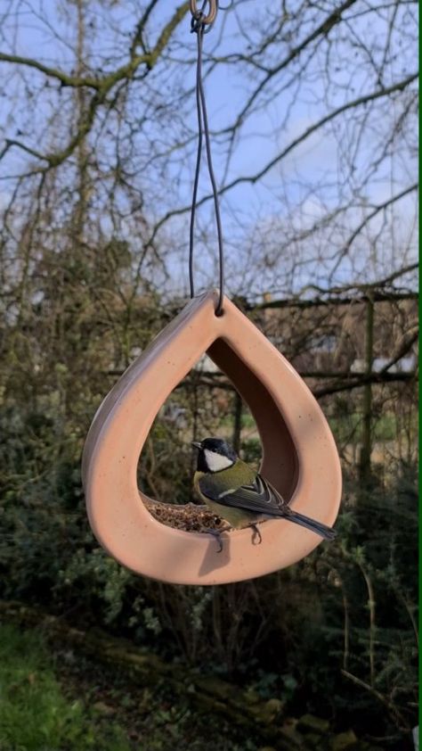 calders_ceramics on Instagram: Another bird feeder enjoyed by some birds!! This one is slab built, see link in bio for full instruction🤗🐦 Air Dry Clay Bird Feeder, Hand Built Pottery Bird Feeder, Ceramic Bird Feeder Pottery, Ceramic Bird Feeders, Clay Bird Feeder, Pottery Bird Feeder, Ceramic Bird Feeder, Modern Bird Feeders, Clay Bird