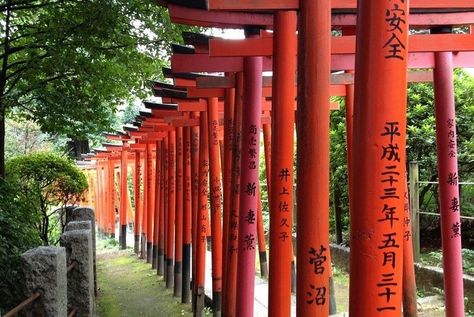 Ueno park is a very popular spot during the Sakura season for picnicking and enjoying the spring festivities. Find out the best things to do there with our top picks. #Ueno #UenoPark #Hanami #Sakura #CherryBlossom #Ameyoko #HanazonoShrine #ShinobazuPonnd #UenoZoo #Kappabashi #UenoStation #JRPass #JapanRailPass #Japan #JapanTravelTips Ueno Park Tokyo, Matcha Japan, Ueno Park, Visit Tokyo, Kyoto Travel, Travel Guide Book, Japan History, Japan Travel Guide, Historical Landmarks