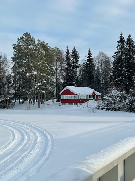 Sweden In Winter, Sweden Aesthetic Winter, Umea Sweden, Sweden Life, Sweden Landscape, Winter In Sweden, Sweden Winter, Sweden Snow Aesthetic, Sweden Snow