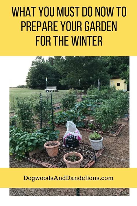 Cleaning up the garden before winter arrives is a necessary chore. Having the garden clean will make spring planting so much easier. This post shares 13 things you must do to clean up your garden for winter. #dogwoodsanddandelions #winterprep #gardening #gardencleanup #winterchores Garden Foliage, Lasagna Gardening, Winter Gardening, Spring Planting, Home Grown Vegetables, Gardening Hacks, Spring Flowering Bulbs, Garden Tool Set, Flower Gardening