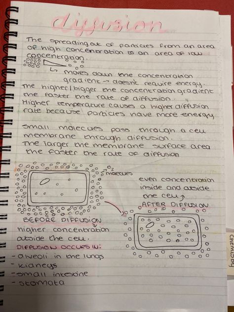 Diffusion Notes, Biology Revision Gcse, Science Revision, Biology Revision, Gcse Revision, Handwriting Examples, Study Hacks, Romanticizing School, Revision Notes