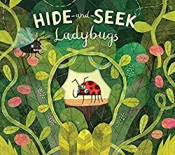 15 Picture Books That Are Perfect for Spring · Book Nerd Mommy Spider Book, Childrens Book Cover, Lightning Bug, The Ladybug, Book Cover Illustration, Picture Books Illustration, Childrens Books Illustrations, Book Illustration Art, Bookshelves Kids