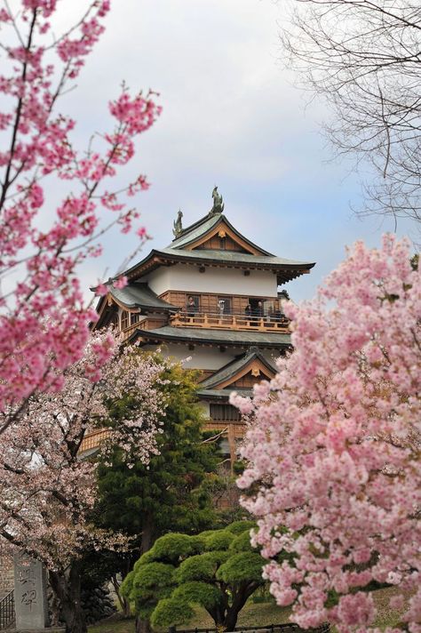 Cherry Blossom Trees, Japan Sakura, Japanese Castle, Japan Aesthetic, Aesthetic Japan, Blossom Trees, Japanese Garden, Asia Travel, Tokyo Japan