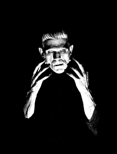 frankenstein hand some Frankenstein Aesthetic, Frankenstein 1931, Portrait Reference, Boris Karloff, Horror Posters, Phone Icons, Classic Horror Movies, Classic Monsters, Bride Of Frankenstein