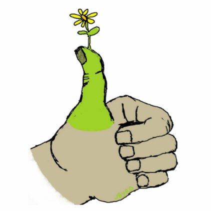 Gardener's Green Thumbs Up Cutout - gift idea custom Green Thumb Humor, Golden Hands, Drawing Help, Simple Products, Green Thumb, Gifts Ideas, Thumbs Up, Mom And Dad, Home Gifts