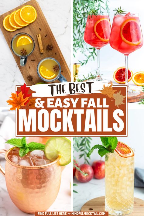 Tailgate Mock Tails, Best Mocktails For Fall, Healthy Fall Mocktail, Dry Mocktails, Easy Mocktail Recipes Fall, Easy Fall Mocktail Recipe, Mocktail Sangria Non Alcoholic, Seasonal Mocktails, Fall Mocktails Non Alcoholic Easy