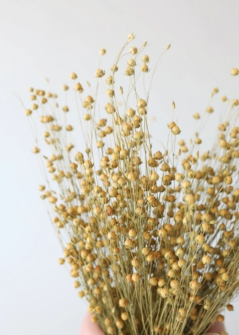 Diy Dried Flower Arrangement, Flowers And Vases, Mustard Flowers, Long Stem Flowers, Flax Flowers, Plants Are Friends, Flax Plant, Dried Flower Bouquet, Seed Pods