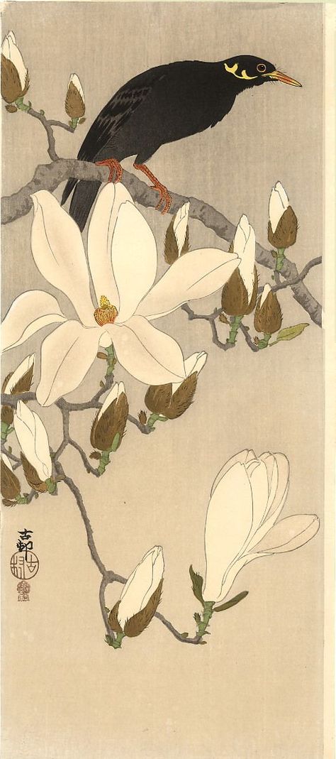 Myna on Magnolia, Koson (Naga Oban) Ca. 1910 Koson Ohara, Vertical Composition, Magnolia Branch, Ohara Koson, Eastern Art, Art Japonais, Japanese Woodblock Printing, Art Et Illustration, Japanese Painting