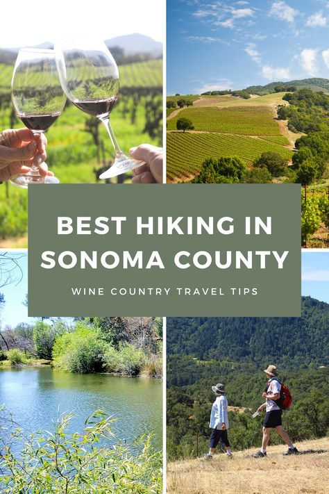 Hiking In Sonoma County, Sonoma Vineyards, La Travel Guide, Usa Trips, Pacific Coast Road Trip, Southern California Travel, West Coast Travel, Sonoma Wineries, Wine Country Travel