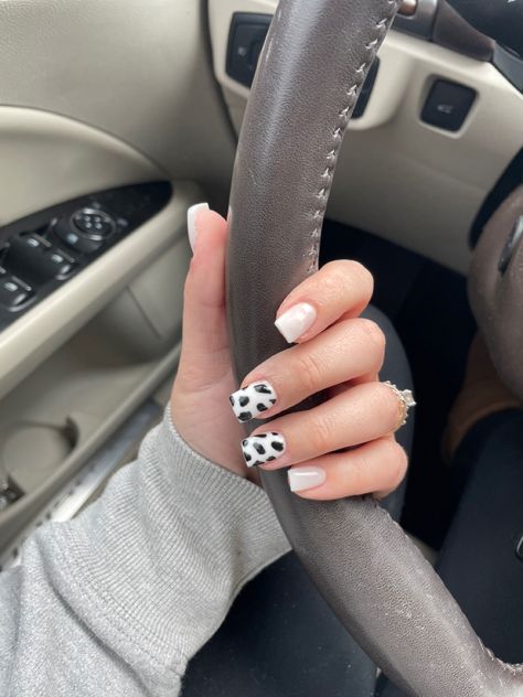 Cow Print Fake Nails, Maroon Cow Print Nails, Ombre Cow Print Nails, Cow Dip Nails, Cow Print Dip Nails, Cow Print Accent Nails, Cowprint Nail Design Short, Cow Print Nails Square, Nails Cow Design