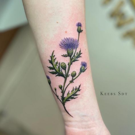 Firework Tattoo, Scotland Tattoo, Scottish Thistle Tattoo, Scottish Tattoo, Scottish Tattoos, Ireland Tattoo, Thistle Tattoo, Amazing 3d Tattoos, 12 Tattoos