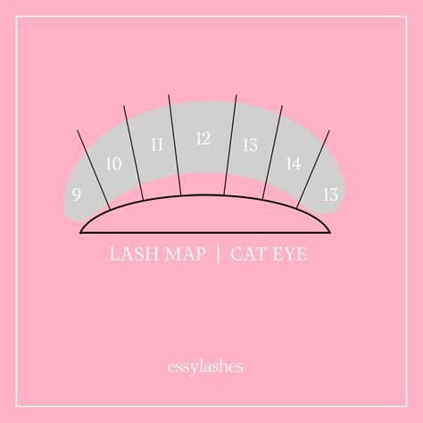 The cat eye mimics winged eyeliner and is perfect for round eyes, downturned eyes or anyone who loves the sultry cat eye look! 😻😻 It’s definitely one of my favourites. What about you? Have a lovely Monday lash babes! #lashmap #lashtips #lashes #lashextensions #volumelashes #eslashes Open Eye Lash Map, Cat Eye Lash Map, Cat Eye Lash Extensions, Eyelashes How To Apply, Have A Great Saturday, Lash Map, Lash Tricks, Applying False Eyelashes, Cat Eye Lash