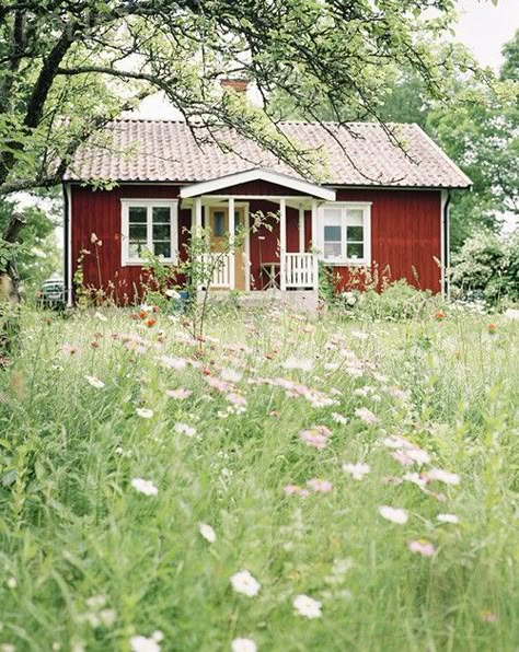 Swedish Cottage, Red Houses, Natural Landscaping, Red Cottage, Cottage Cabin, Summer Cottage, Bohol, Red House, Cabins And Cottages