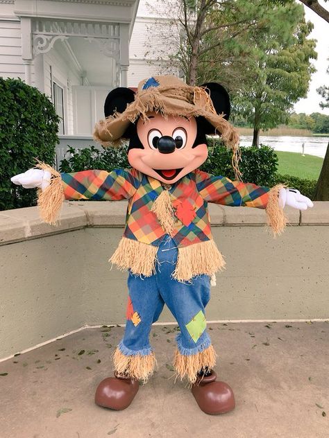 Scarecrow Mickey Mickey Mouse Scarecrow Diy, Disney Scarecrow Ideas, Scarecrow Diy, Mickey Mouse Halloween Costume, Scarecrow Ideas, Disney Best Friends, Mickey Mouse Costume, Mouse Halloween, October Crafts