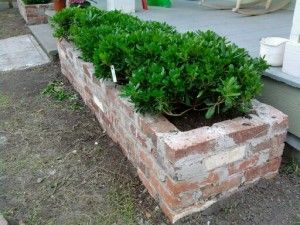 So if you are thinking of having a beautiful garden, then you must think of garden bed and planter ideas. You can easily construct a raised beds garden in your lawn. It will not only look beautiful but also improve your overall landscaping. So if you are convinced and wanted to have one for your garden, then you should follow the below mentioned steps. Brick Planters, Garden Beds Diy, Dutton Family, Brick Ideas, Brick Planter, Dream Backyard Garden, Beds Diy, Townhouse Garden, Brick Garden