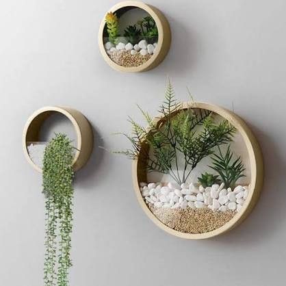 Metal Wall Planters, Hanging Wall Planters, Wall Planters, Small Cactus, Plant Decor Indoor, Wall Vase, House Plants Decor, Hanging Planter, Diy Plants